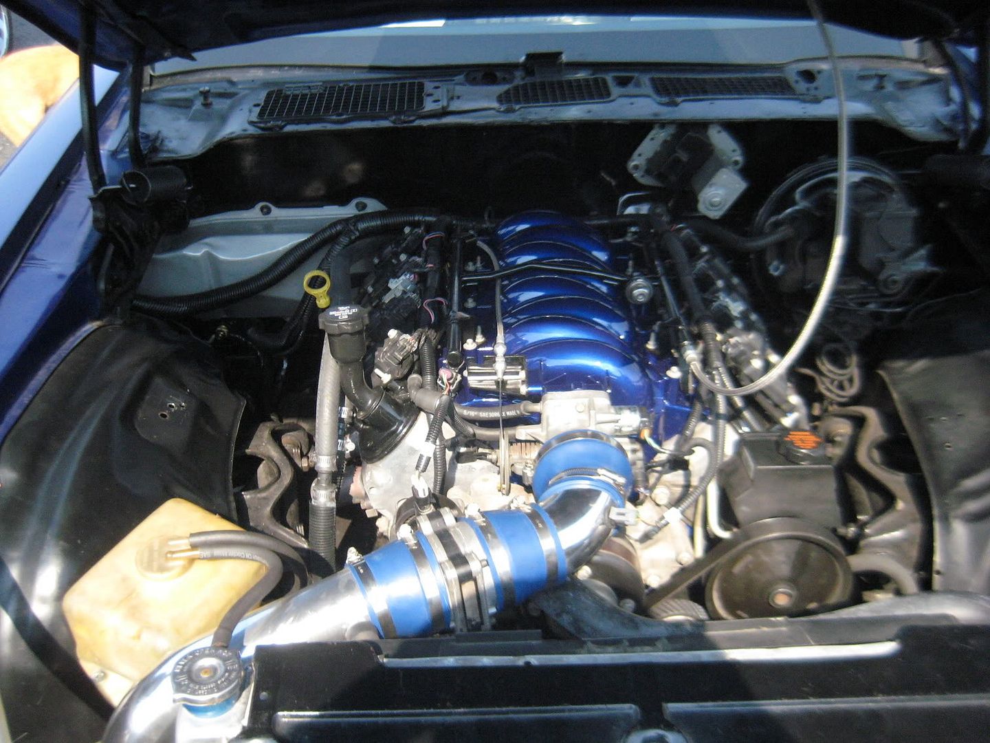 Picture003.jpg