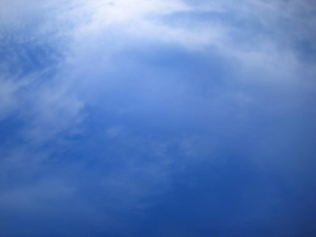 AnishsCamaro041.jpg