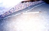 slabFoundationcrack.jpg image by CommonDefects