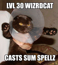 cat wizard