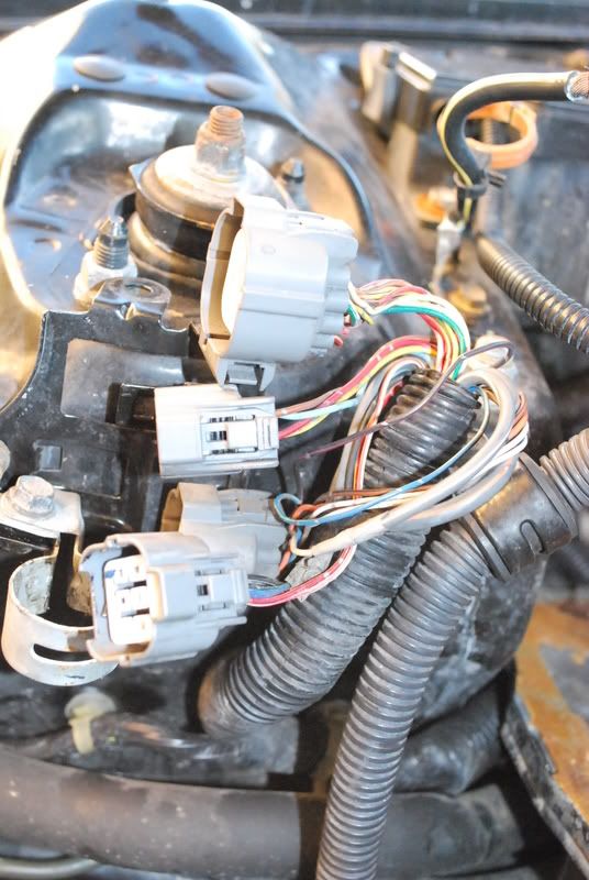 OBD2 Engine Harness? Del Sol, EK? HondaTech Honda Forum Discussion