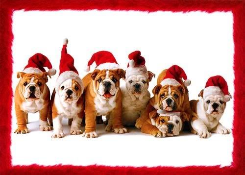 [img width=500 height=357]http://i23.photobucket.com/albums/b372/Sfietje1/naamloos.jpg[/img]