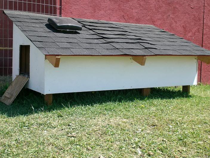 What's best on floor of ducks' house? BackYard Chickens Learn How