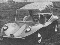 BushWacker.jpg image by dunebuggyarchives