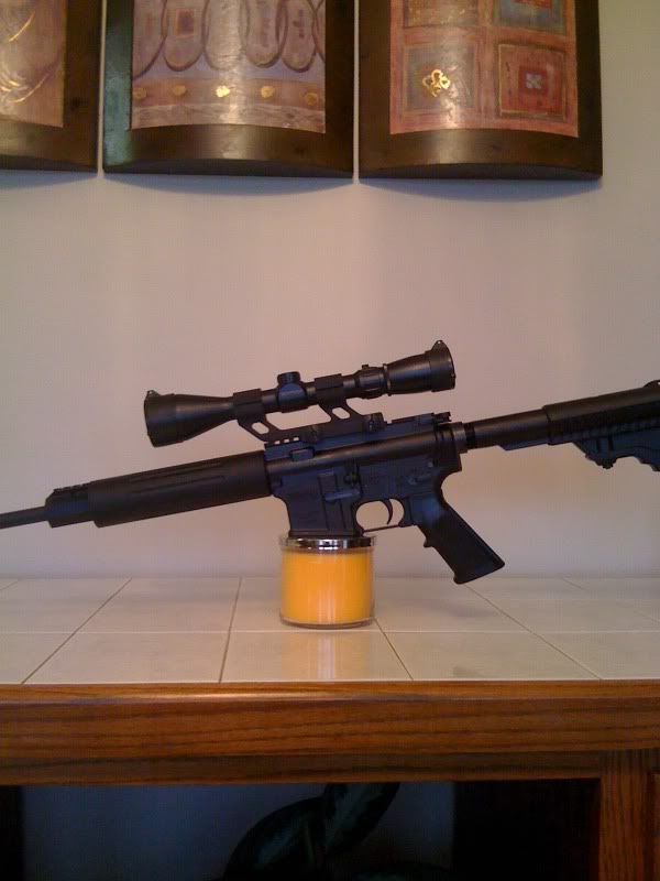 DPMS.jpg