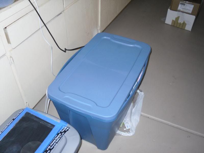 SDC10374.jpg