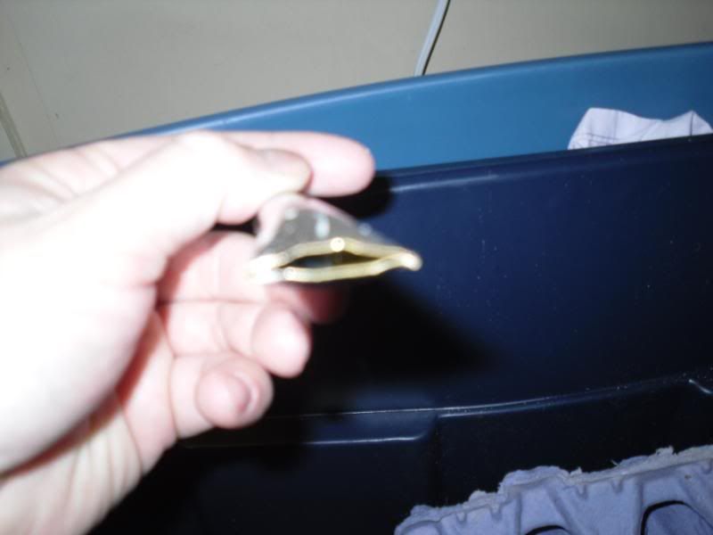 SDC10386.jpg