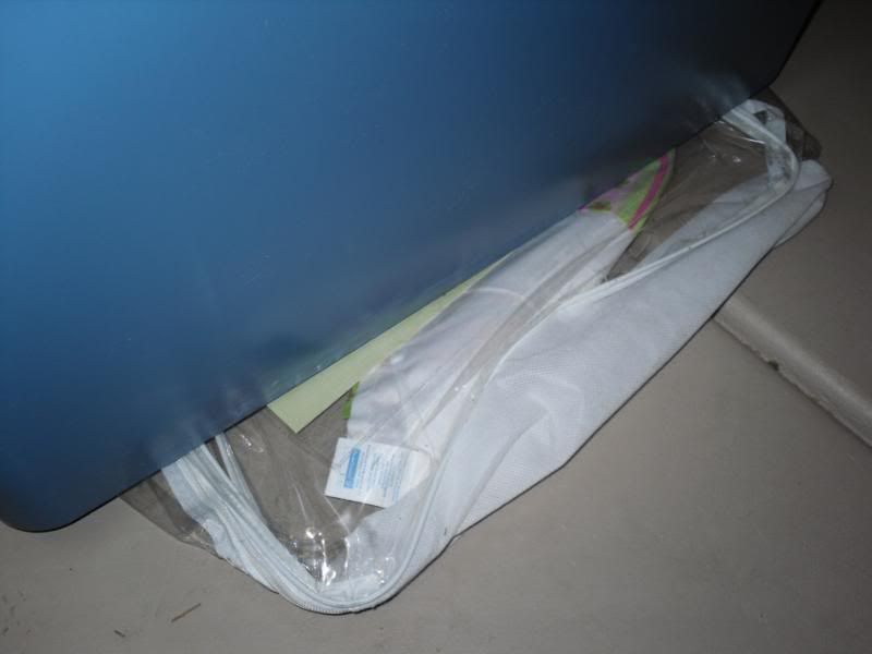 SDC10391.jpg