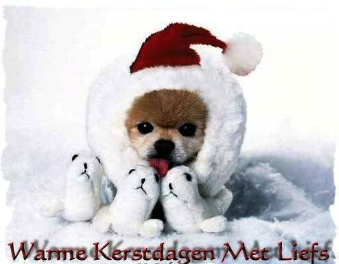 [img width=494 height=386]http://i23.photobucket.com/albums/b372/phoebe_mercury/pic_2004-12-11_195746.jpg[/img]