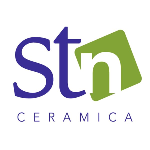 STN Logo