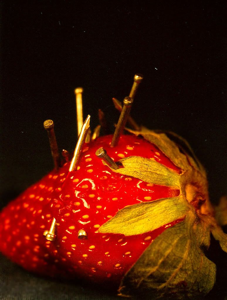 strawberry-needles-bright.jpg