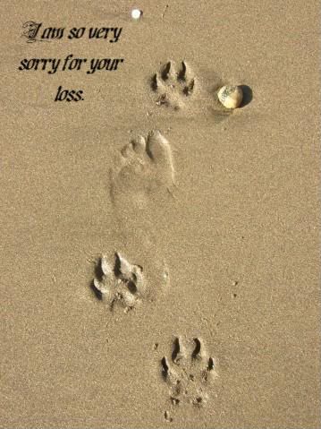footprints-1-1.jpg