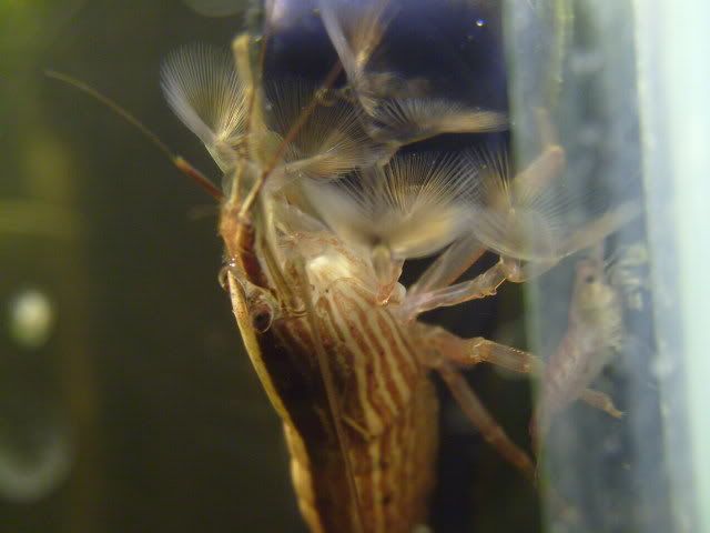S7004088-1.jpg