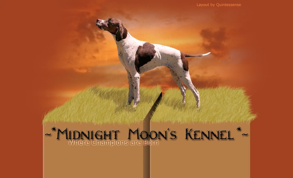 ~*Midnight Moon*~ - ~*Midnight Moon's Kennel*~