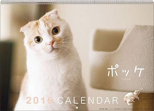 Pokke cat calendar