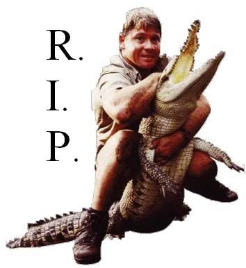 steve20irwin202.jpg