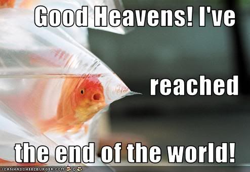 funny-pictures-fish-reaches-end-of-.jpg