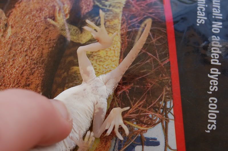 DSC_1761.jpg