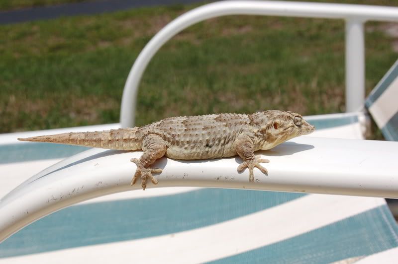 DSC_1363.jpg