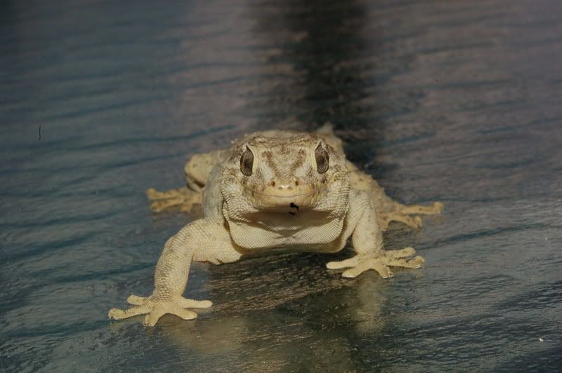 DSC_1382.jpg