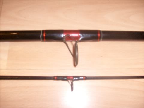 bassrod2.jpg