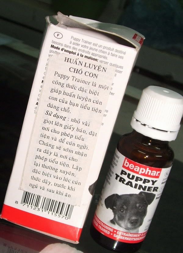 Làm sao tập luyện cho chó đc hen !?!