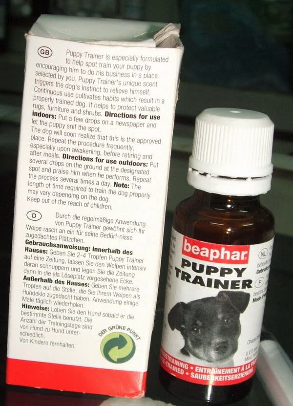 Làm sao tập luyện cho chó đc hen !?! - 1