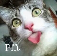 pfft.jpg Pfft! image by aielidej