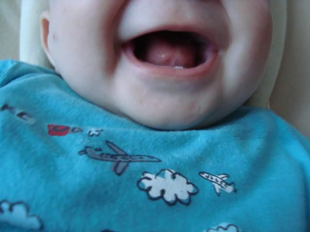 DSC05512.jpg
