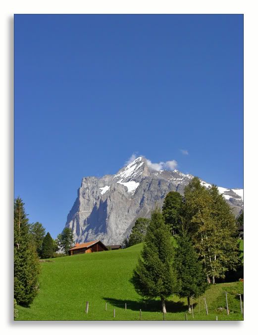 Grindelwald-3.jpg