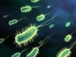 bacteria background