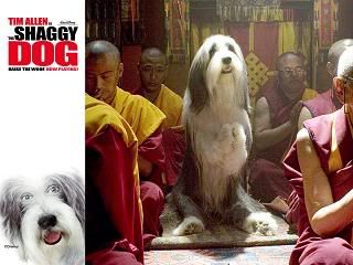 Image hosting by Photobucket