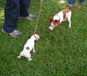 Image hosted by Photobucket.com