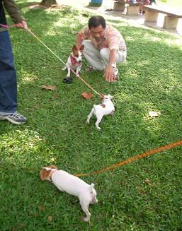 Image hosted by Photobucket.com