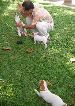 Image hosted by Photobucket.com