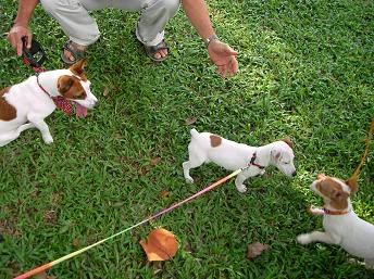 Image hosted by Photobucket.com