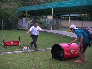 Image hosted by Photobucket.com