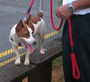 Image hosted by Photobucket.com