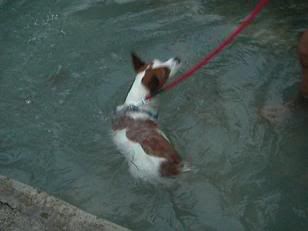 Image hosted by Photobucket.com