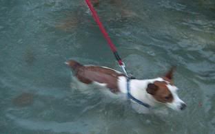 Image hosted by Photobucket.com