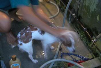 Image hosted by Photobucket.com