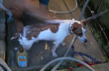 Image hosted by Photobucket.com