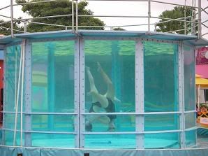 Image hosted by Photobucket.com