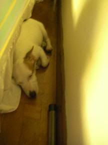 Image hosted by Photobucket.com