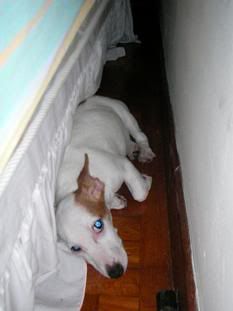 Image hosted by Photobucket.com