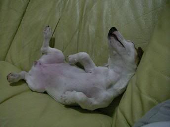 Image hosted by Photobucket.com