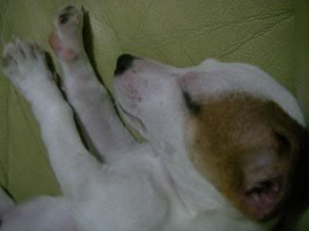 Image hosted by Photobucket.com