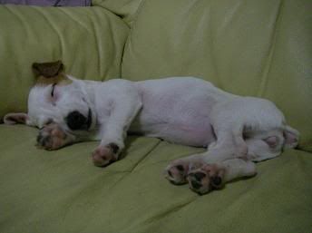 Image hosted by Photobucket.com