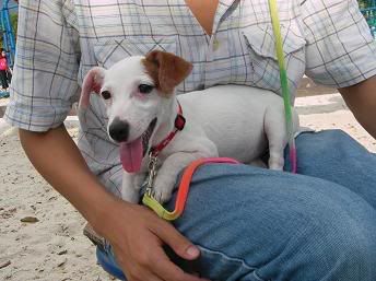 Image hosted by Photobucket.com