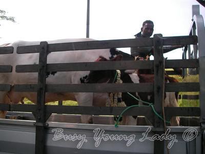 Image hosting by Photobucket